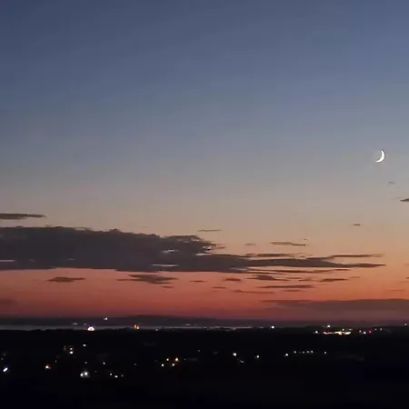 Dmon-home טטנאנג