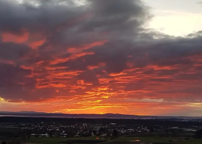 Lägenhet Dmon-home *