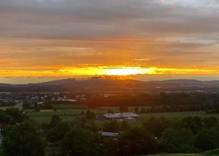 Lägenhet Dmon-home *